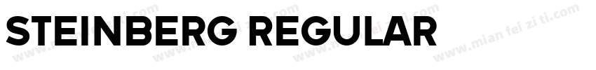 Steinberg Regular字体转换